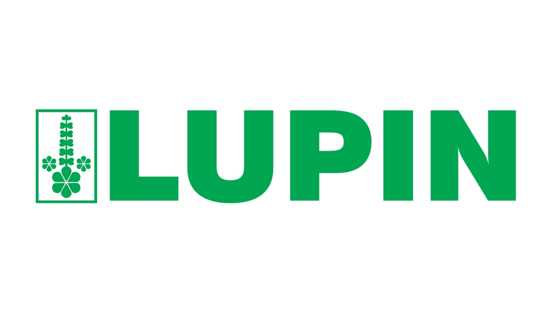 Lupin